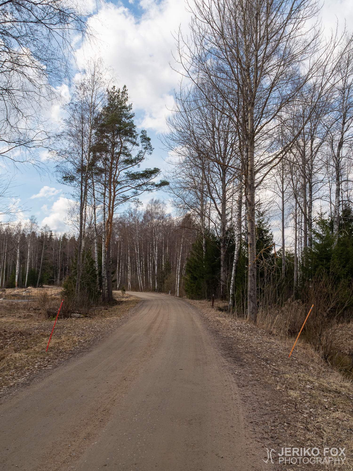 JFRM-2021-04-1135