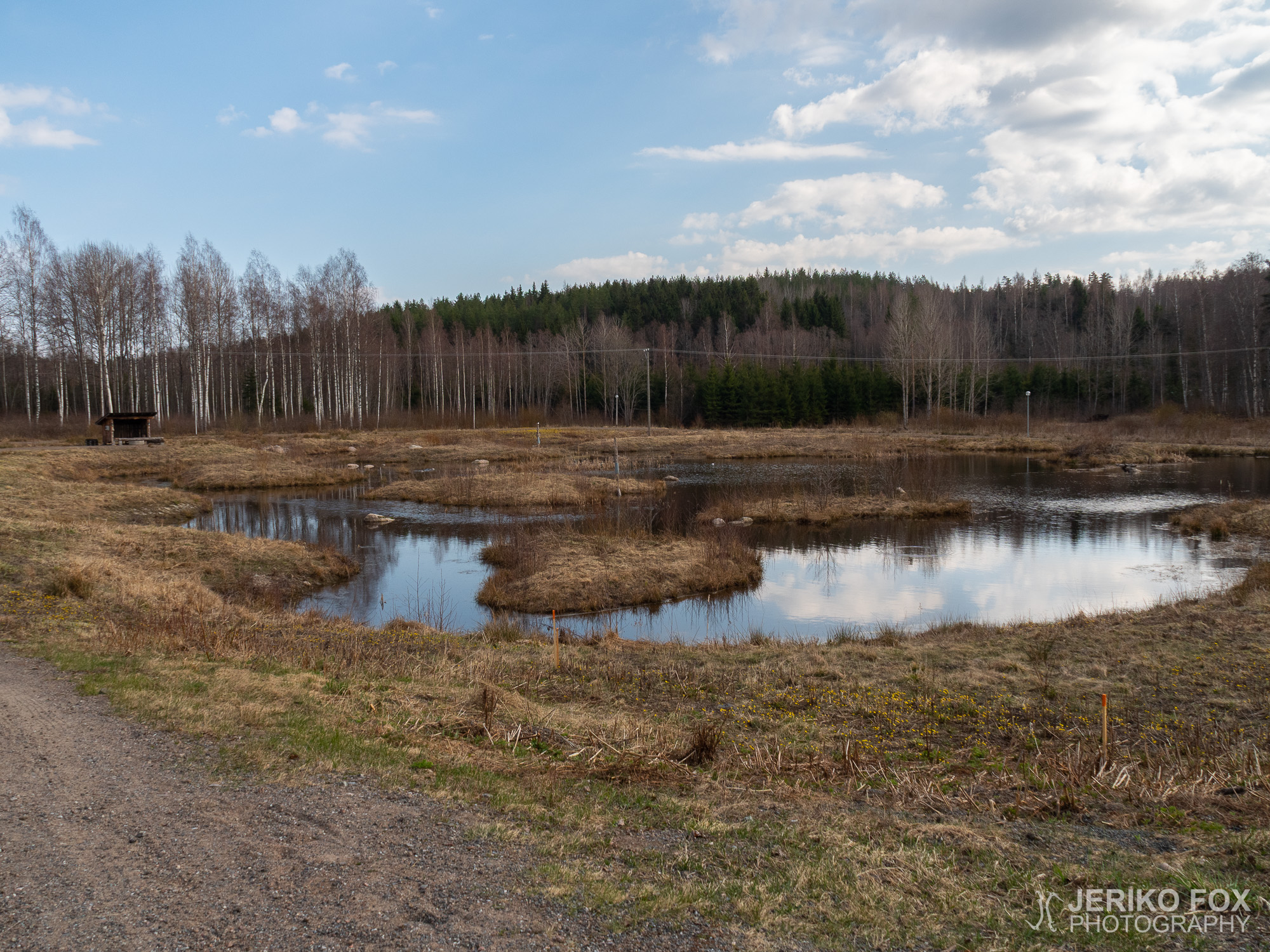 JFRM-2021-04-1155