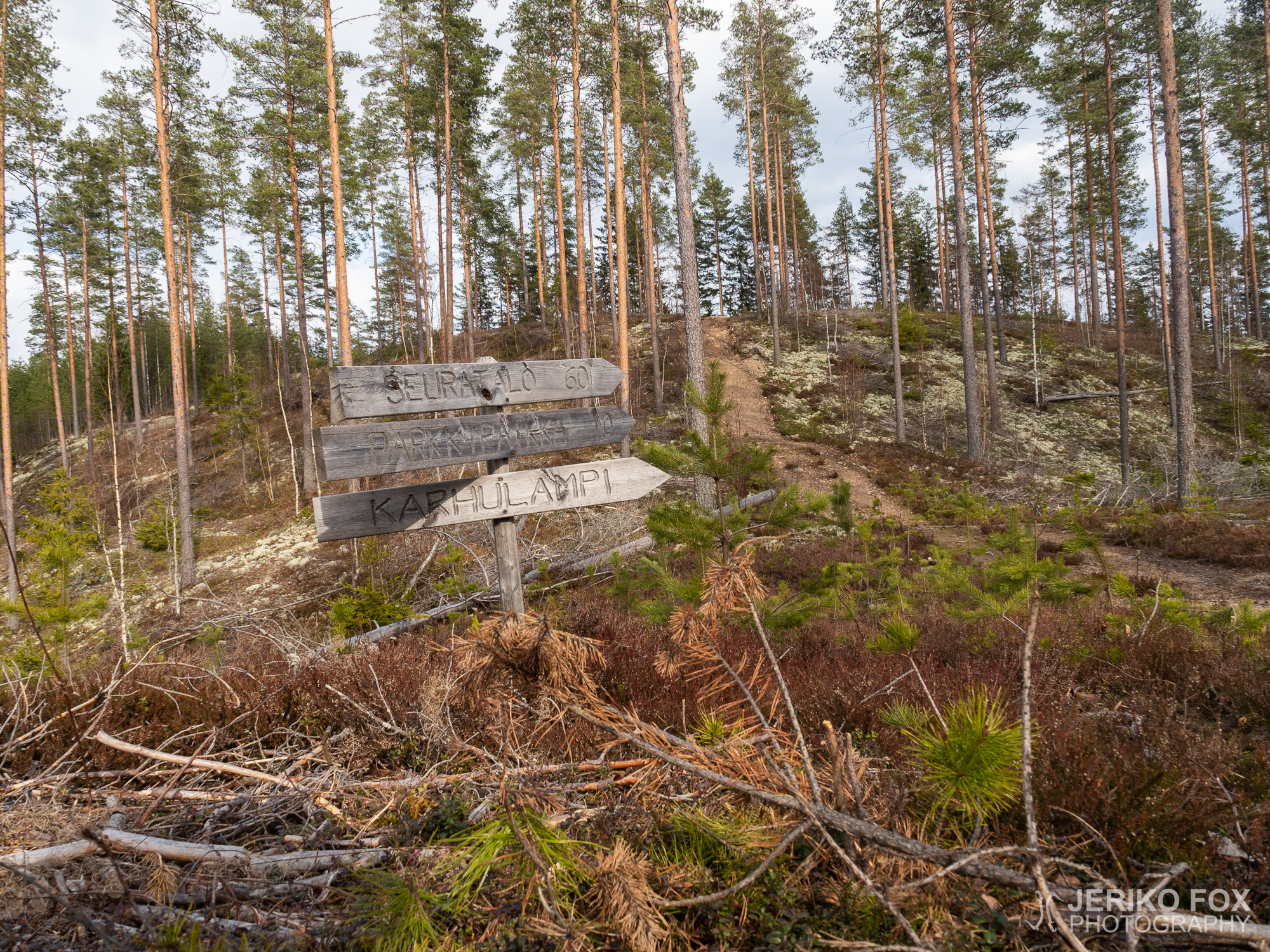 JFRM-2021-04-1191
