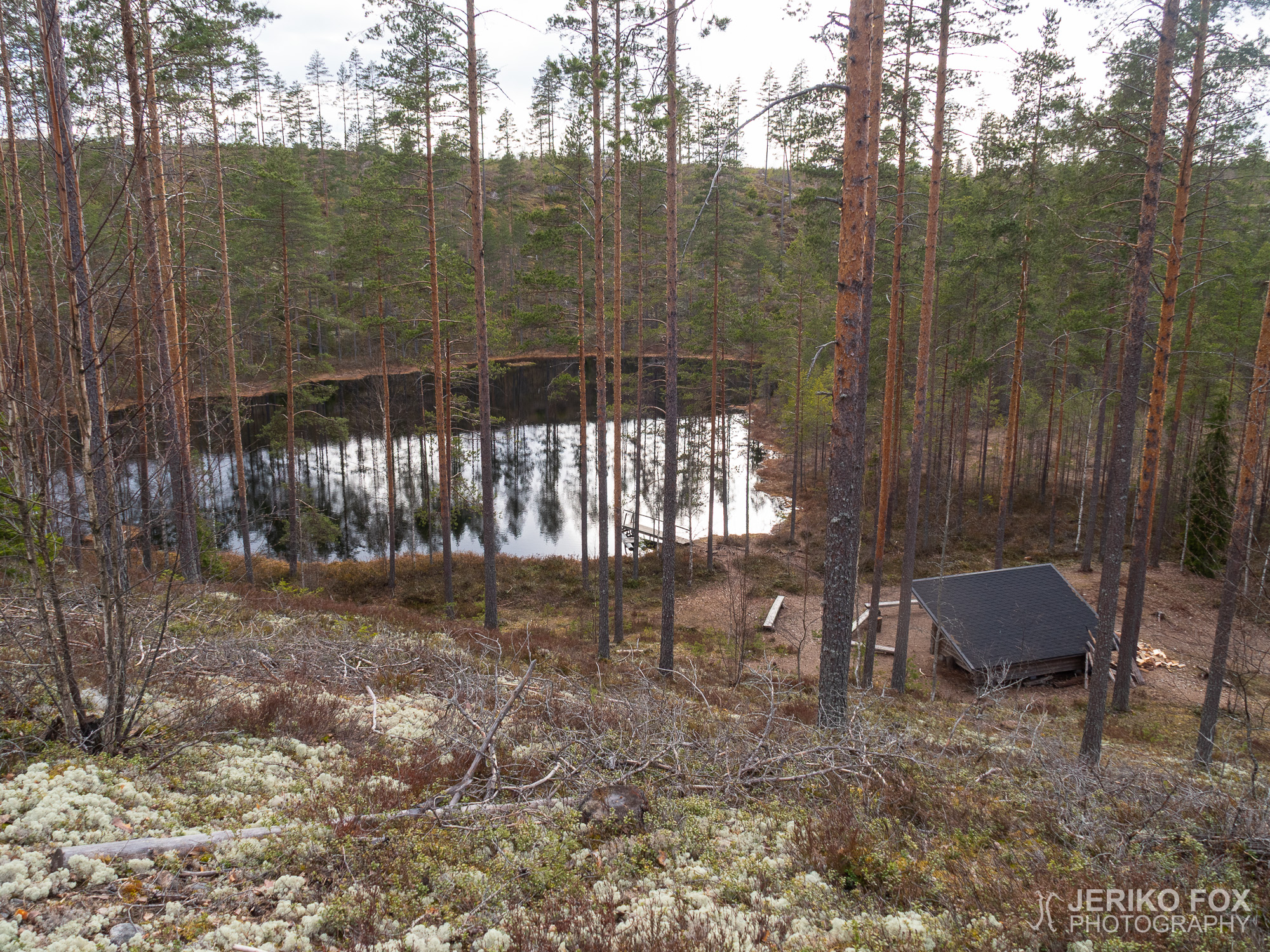 JFRM-2021-04-1231