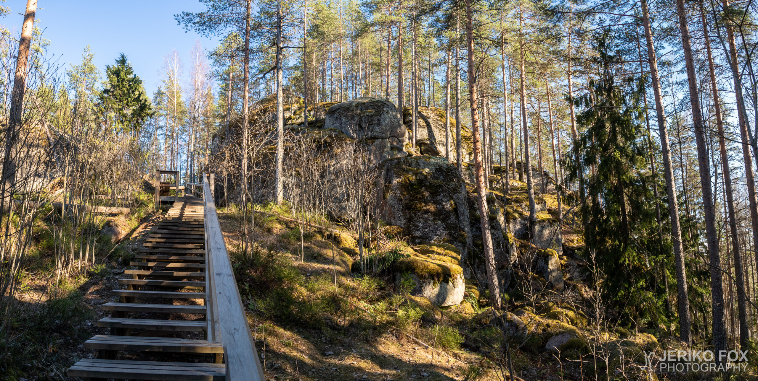 JFRM-2021-05-1238-Pano