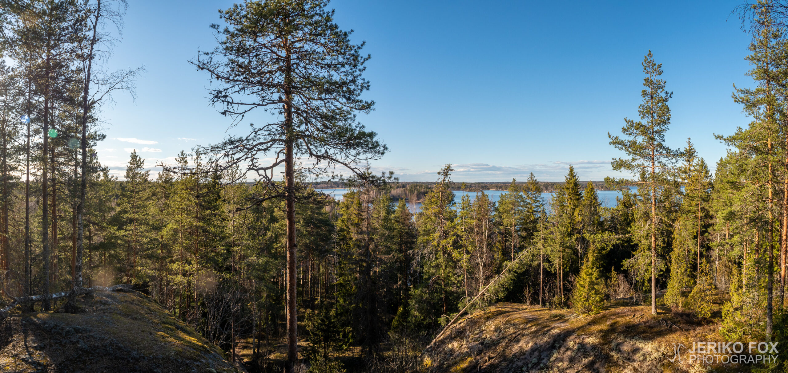 JFRM-2021-05-1245-Pano