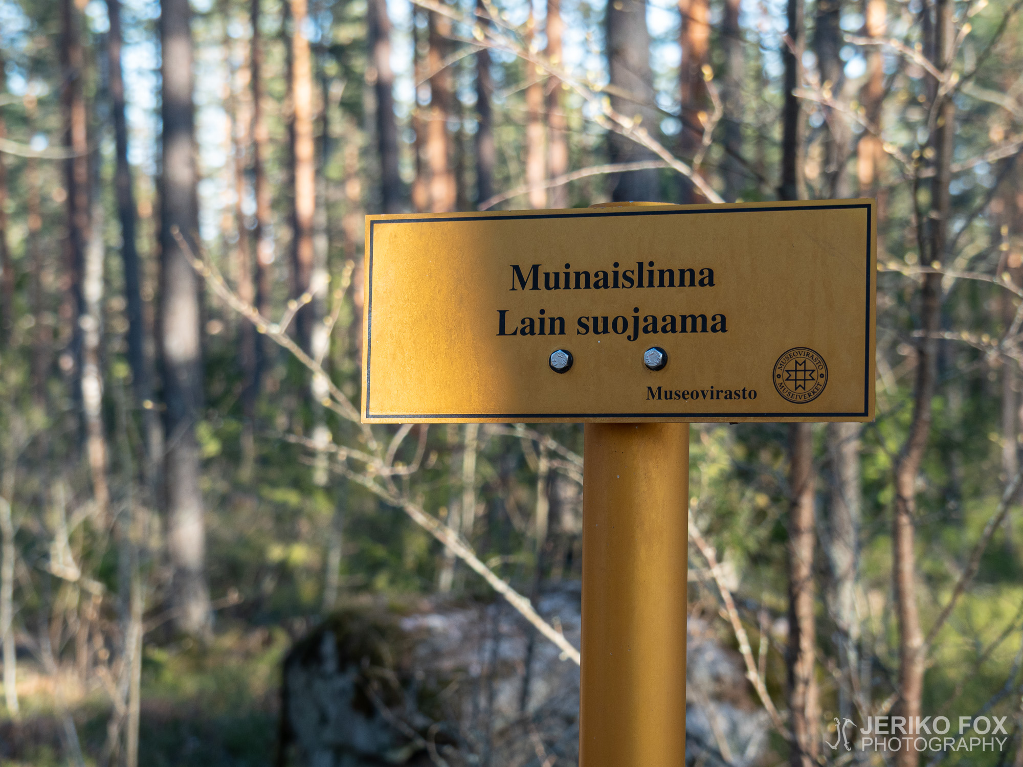 JFRM-2021-05-1251