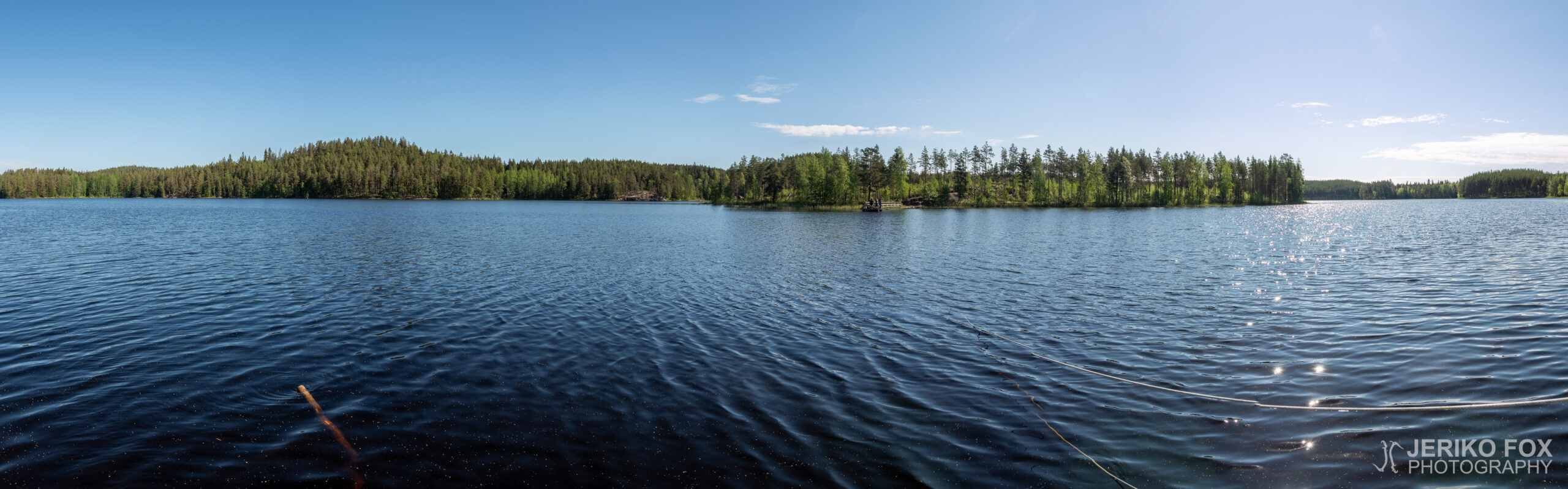 JFRM-2021-06-1306-Pano