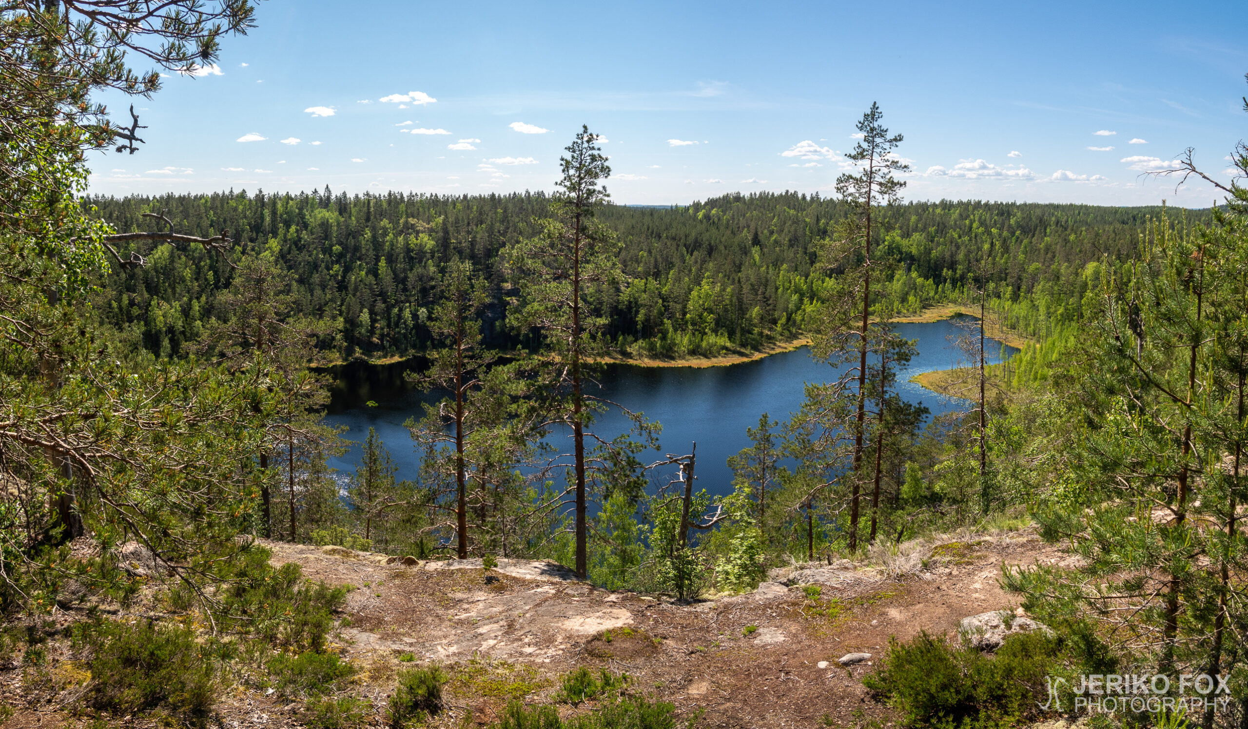 JFRM-2021-06-1329-Pano
