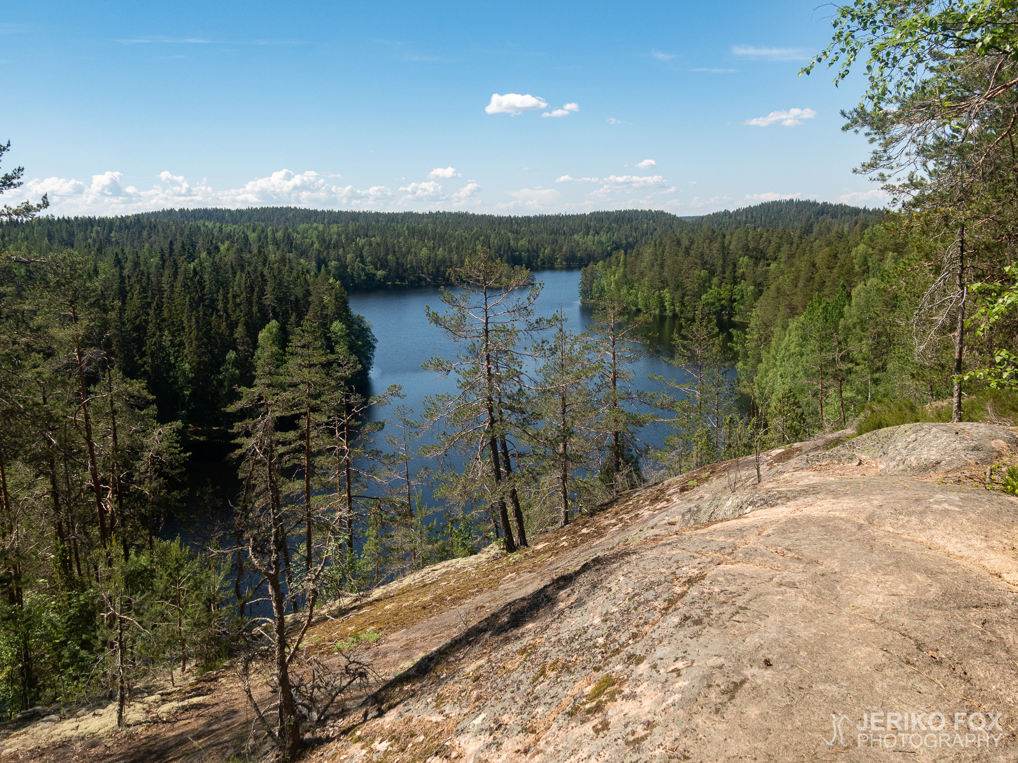 JFRM-2021-06-1371