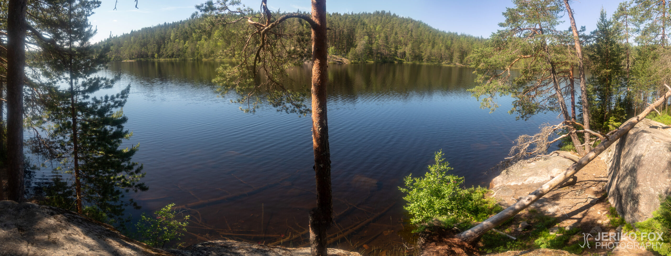 JFRM-2021-06-1372-Pano