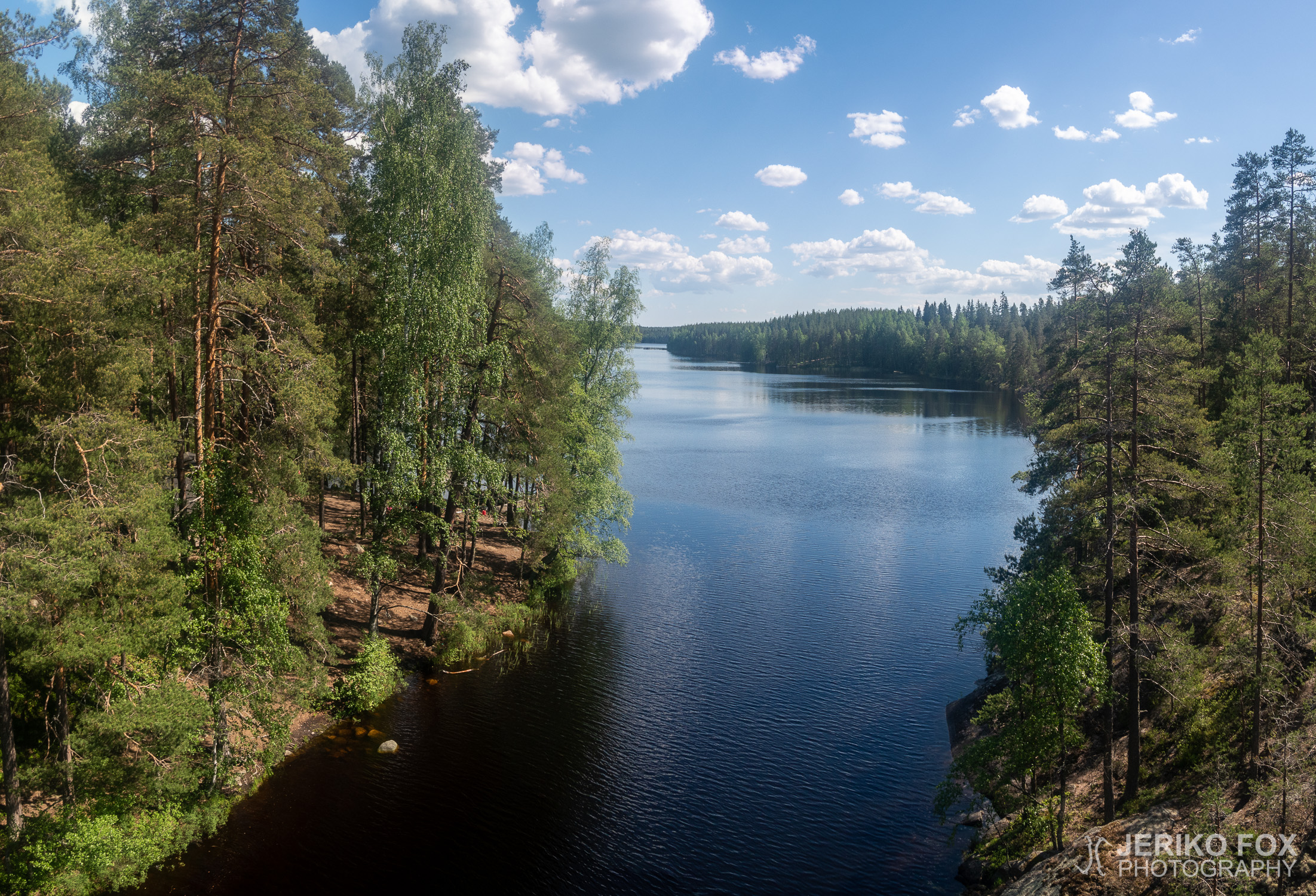 JFRM-2021-06-1387-Pano