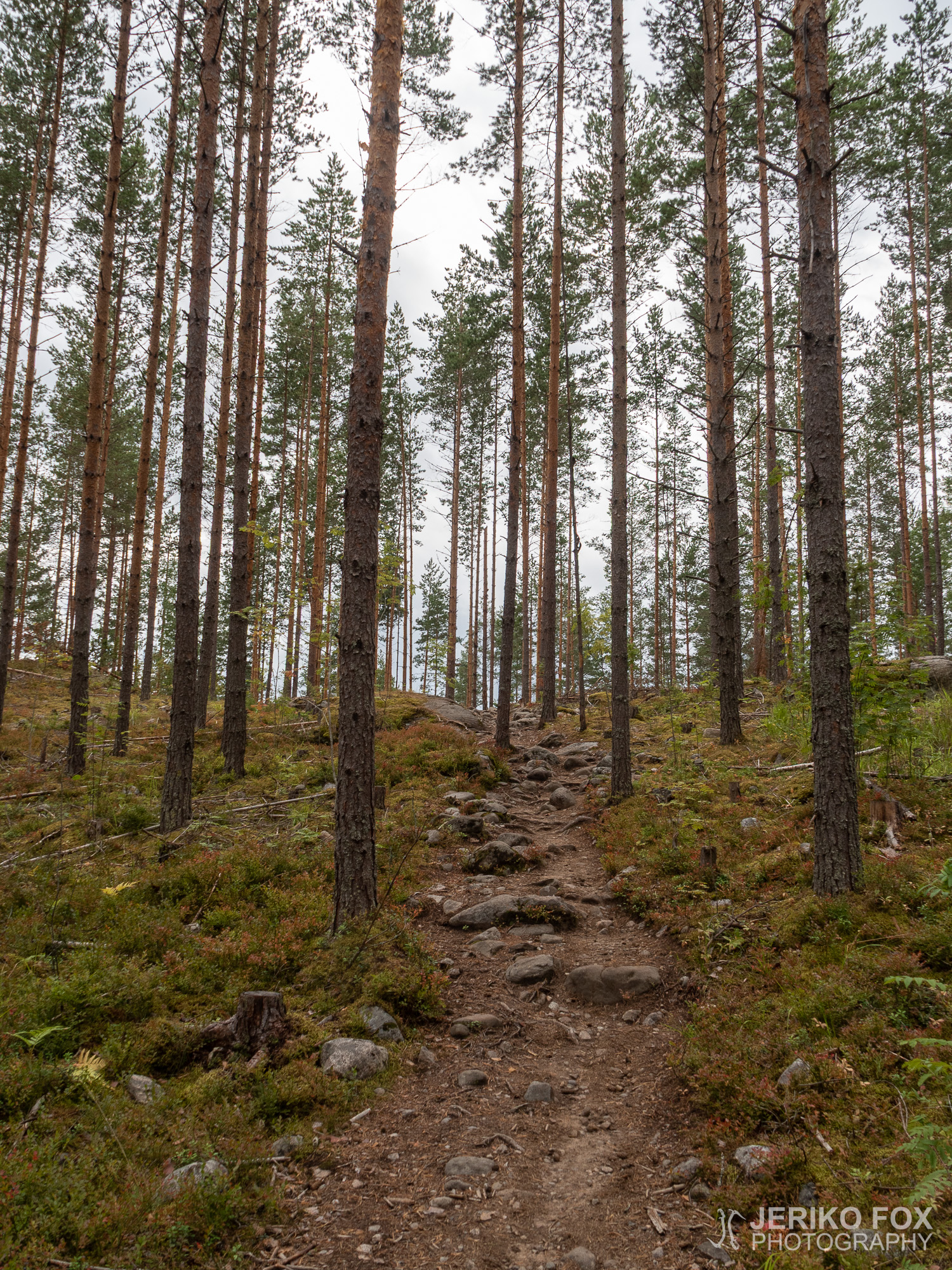 JFRM-2021-08-1418