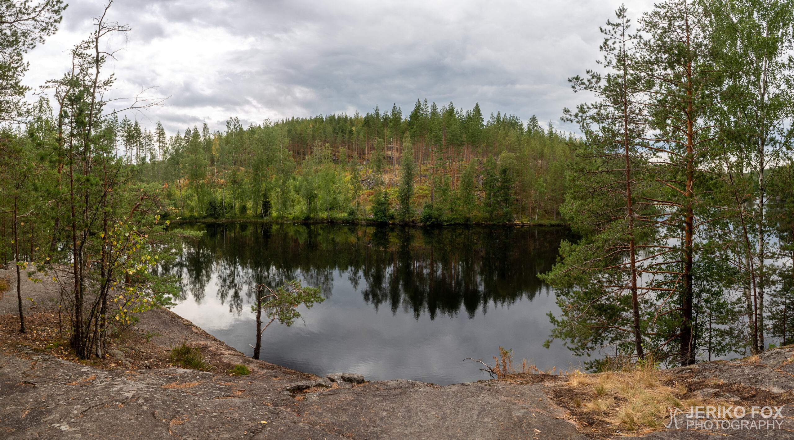 JFRM-2021-08-1419-Pano