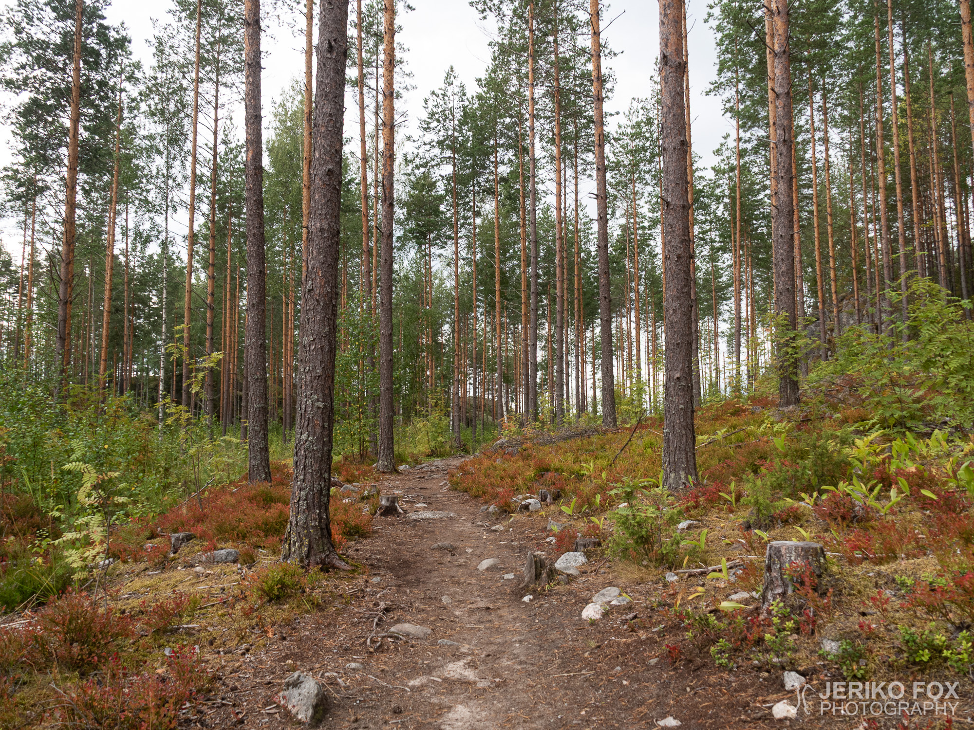 JFRM-2021-08-1430
