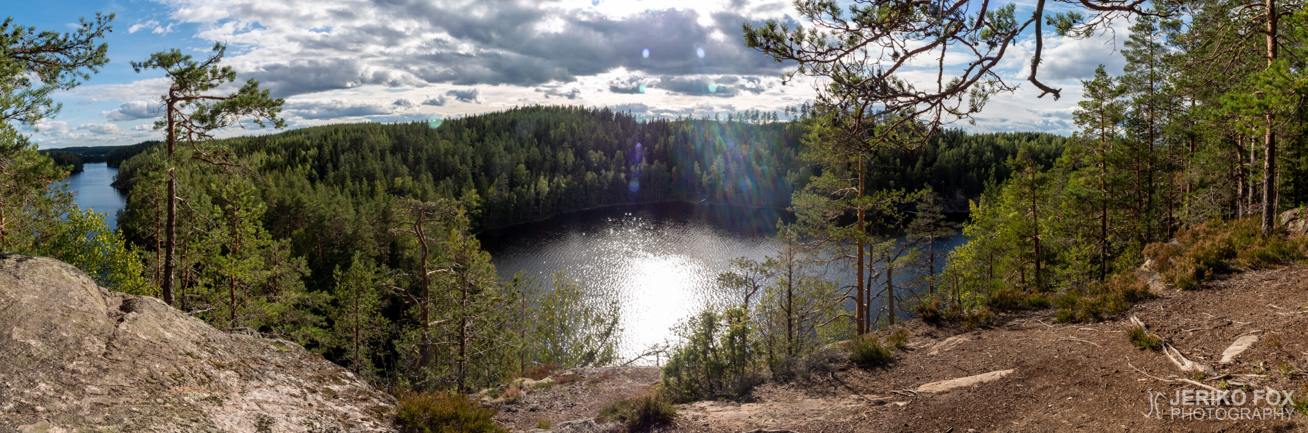 JFRM-2021-09-1530-Pano