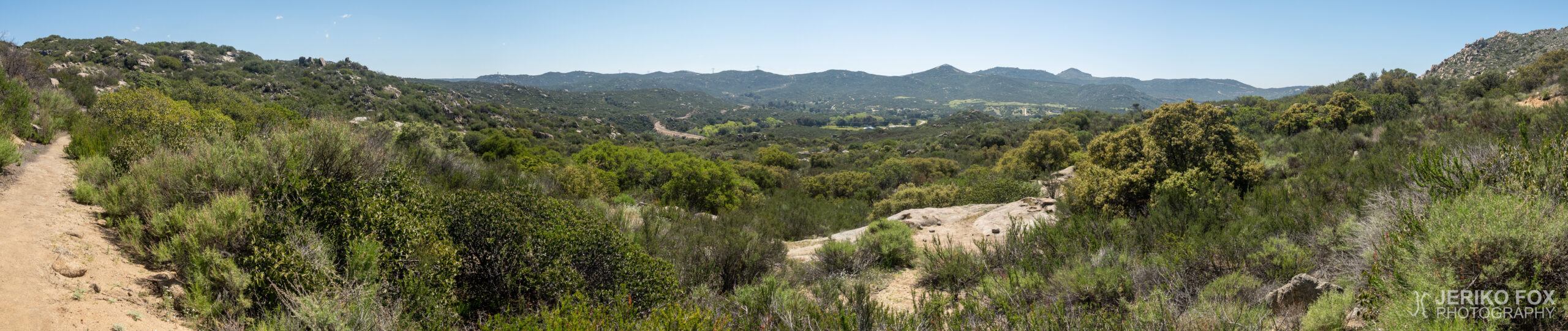JFRM-2022-04-1866-Pano