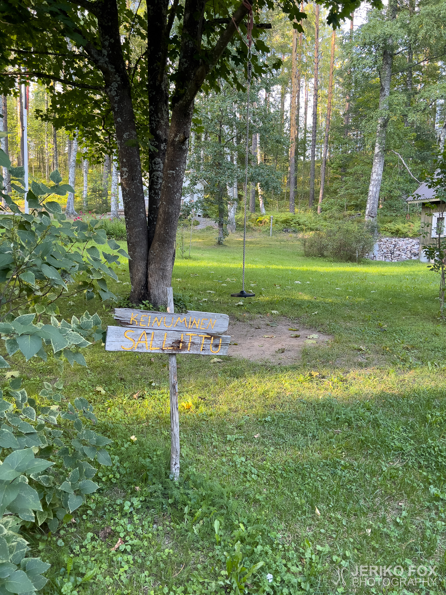 JFRM-2024-08-8445