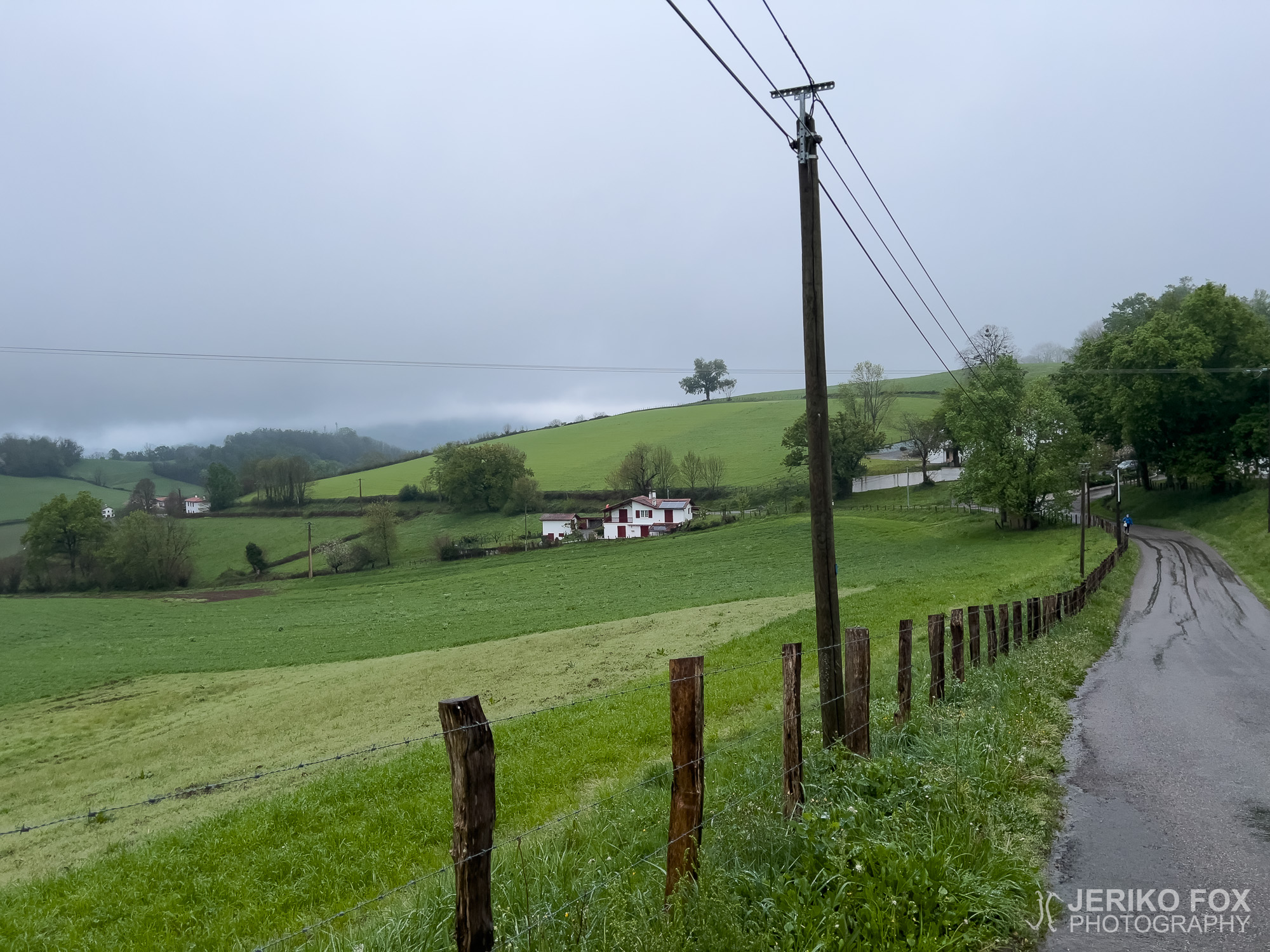 JFRM-2025-04-0062