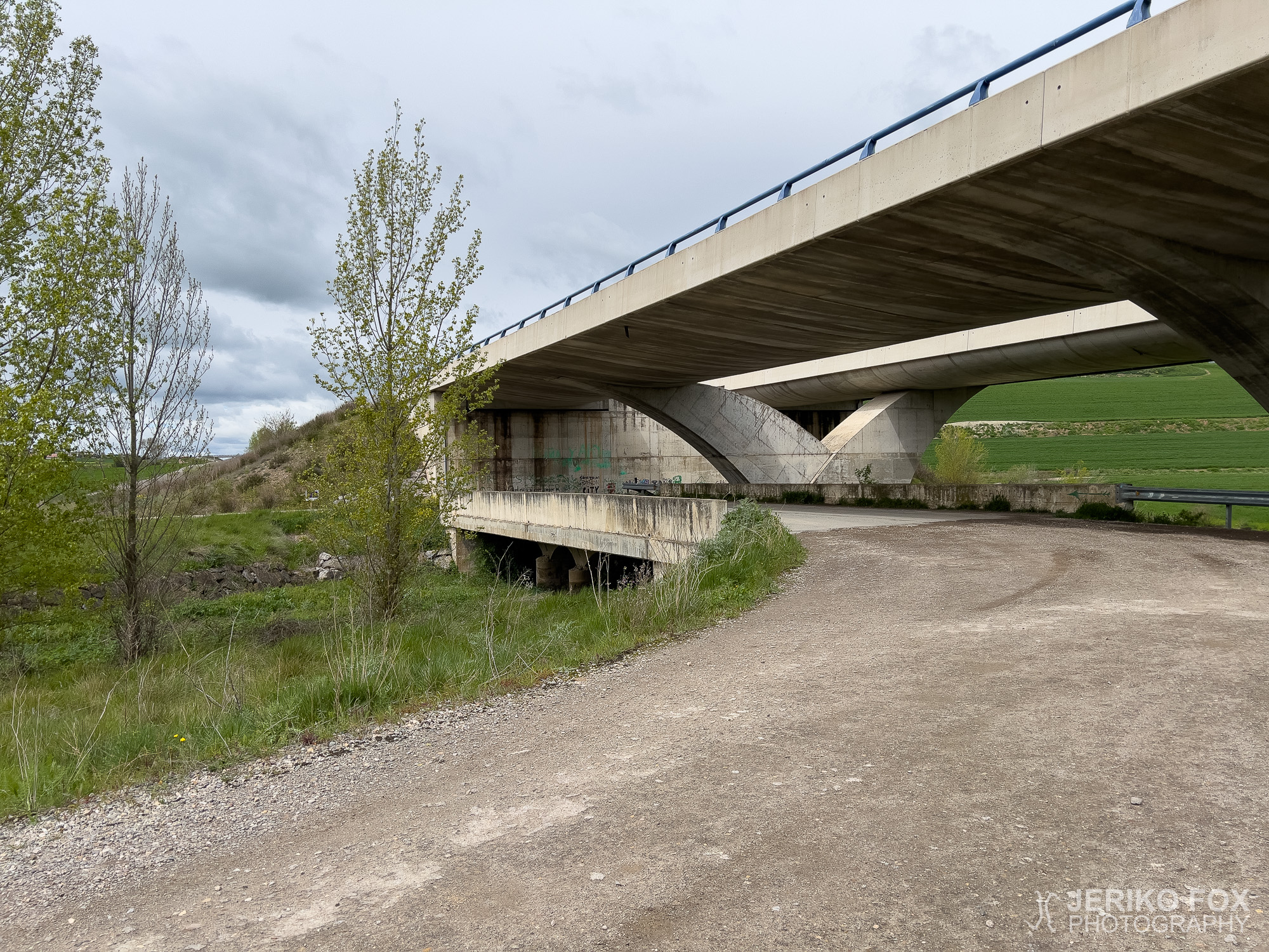 JFRM-2025-04-0350